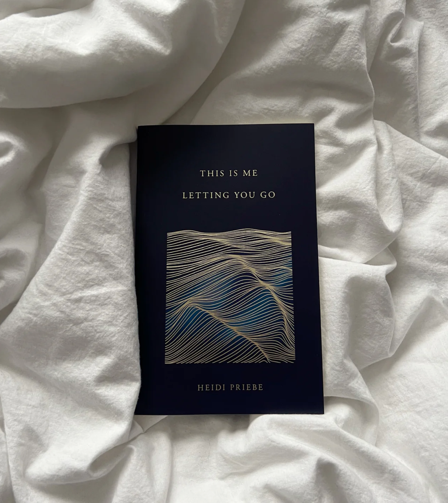 This Is Me Letting You Go - Heidi Priebe