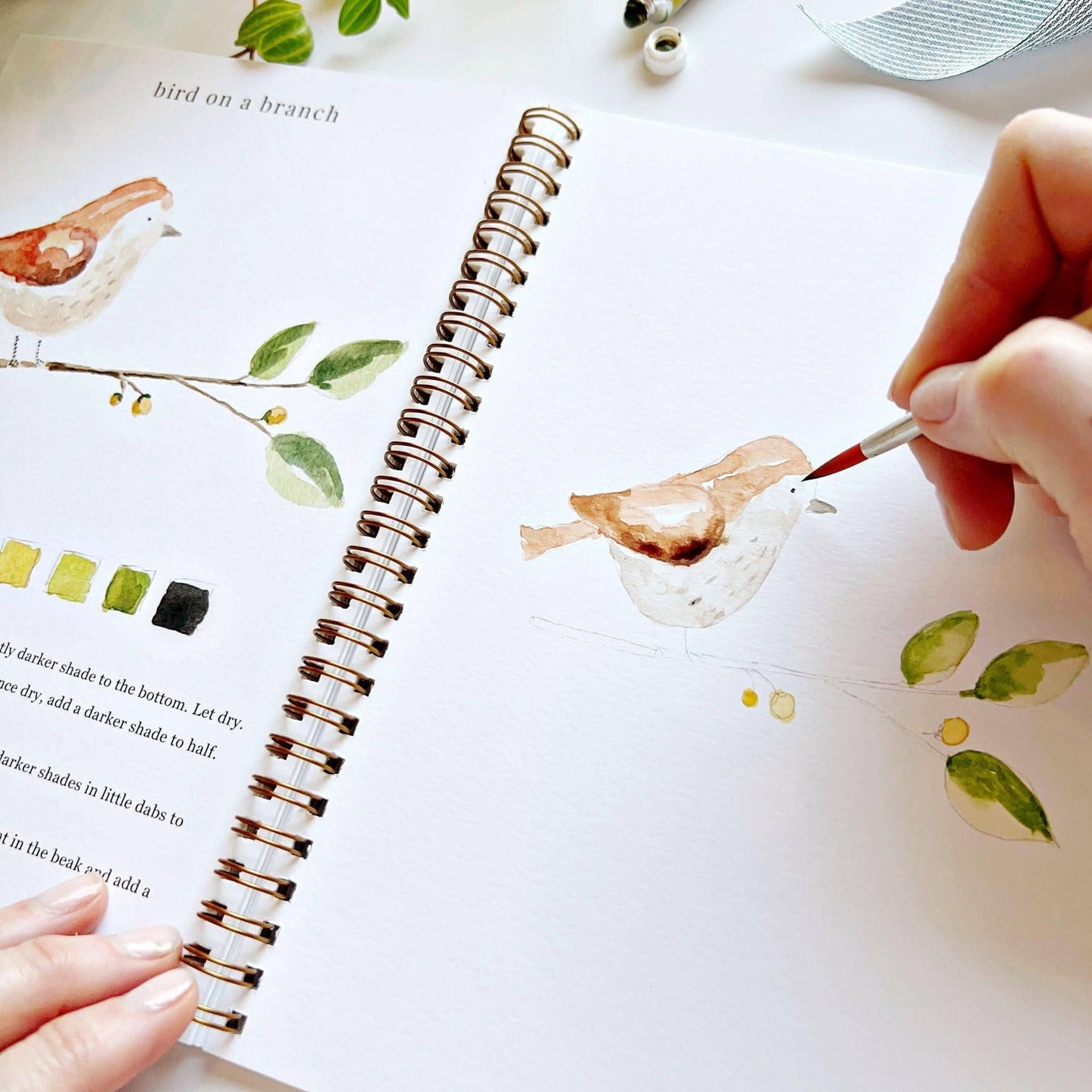 Animals Watercolor Workbook - emily lex studio