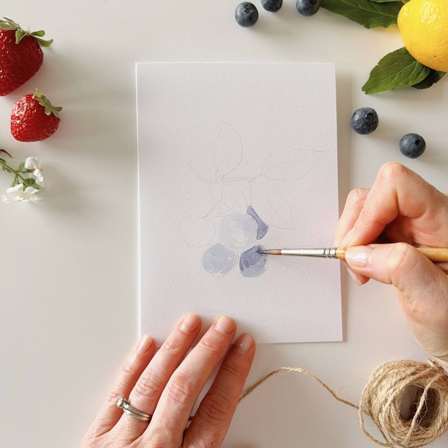Fruit Paintable Notecards - emily lex studio
