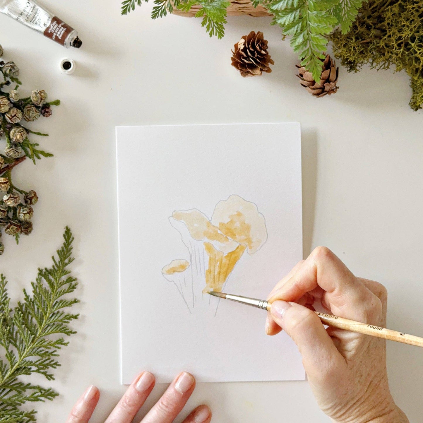 Mushrooms Paintable Notecards - emily lex studio