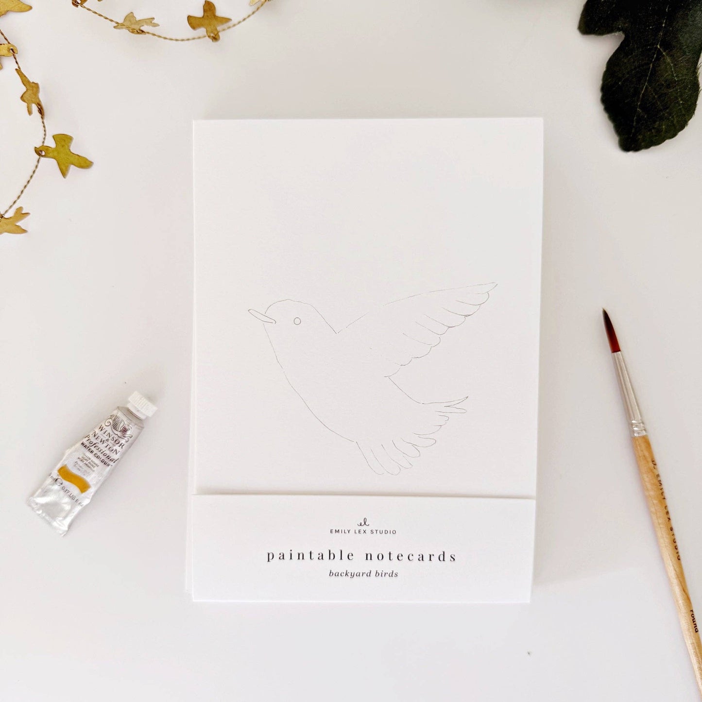 Backyard Birds Paintable Notecards - emily lex studio