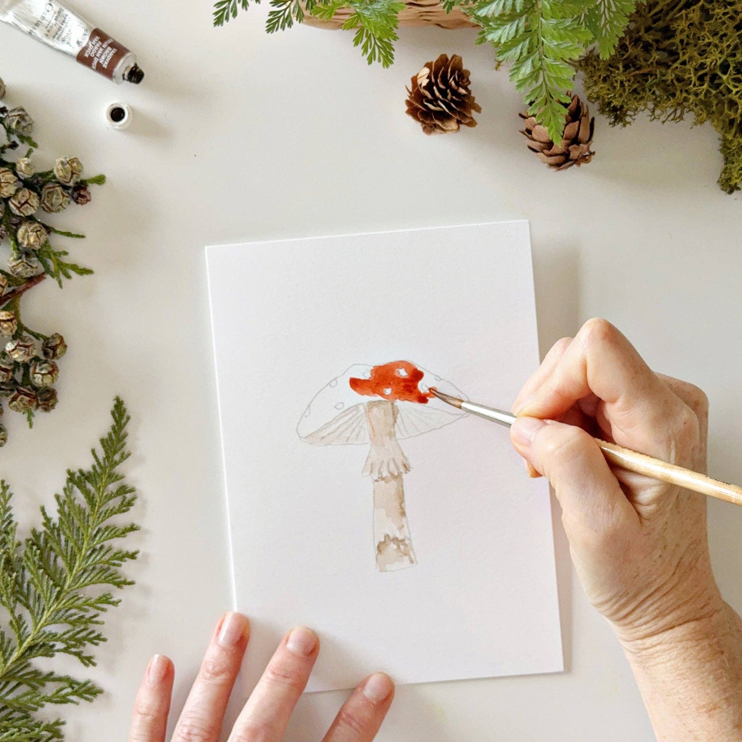 Mushrooms Paintable Notecards - emily lex studio