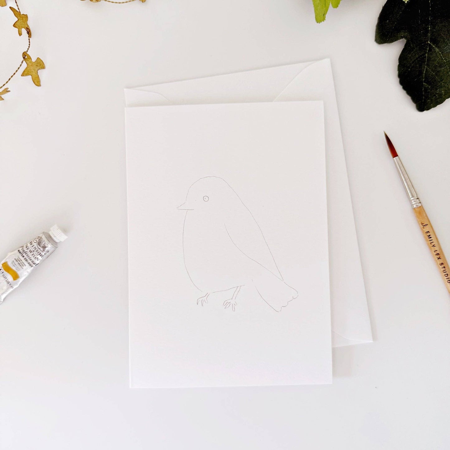 Backyard Birds Paintable Notecards - emily lex studio