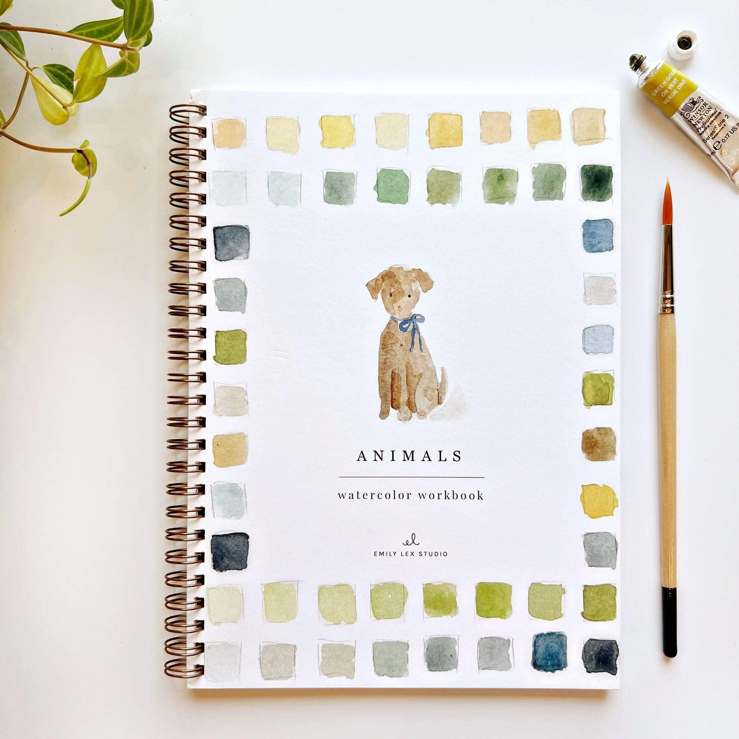 Animals Watercolor Workbook - emily lex studio