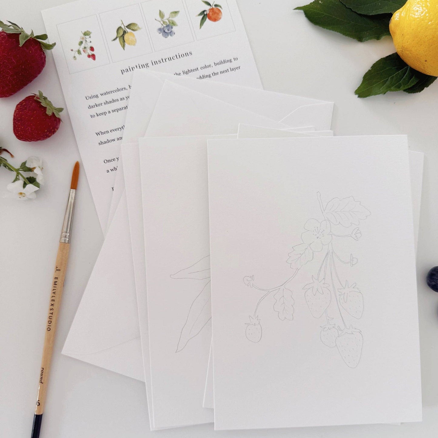 Fruit Paintable Notecards - emily lex studio