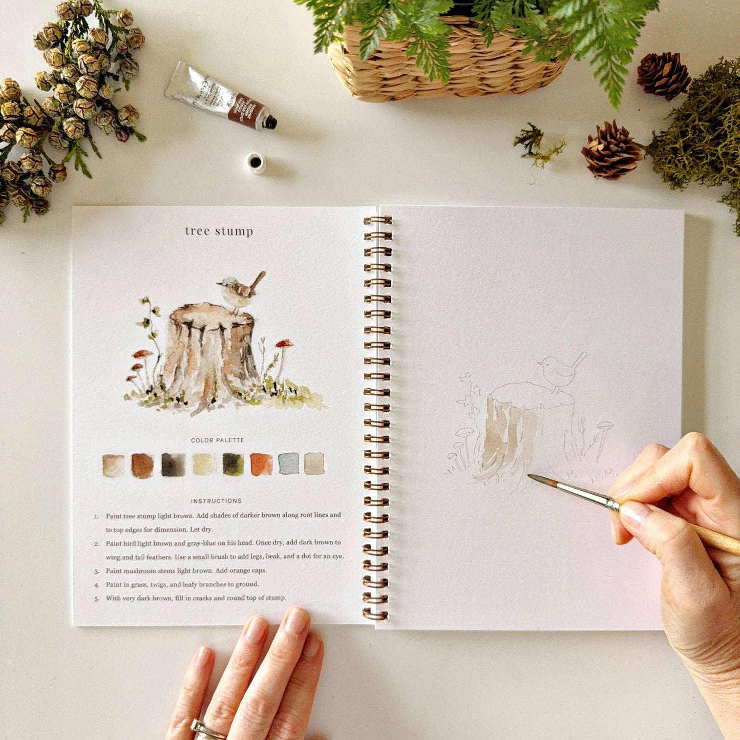 Woodland Watercolor Workbook - emily lex studio