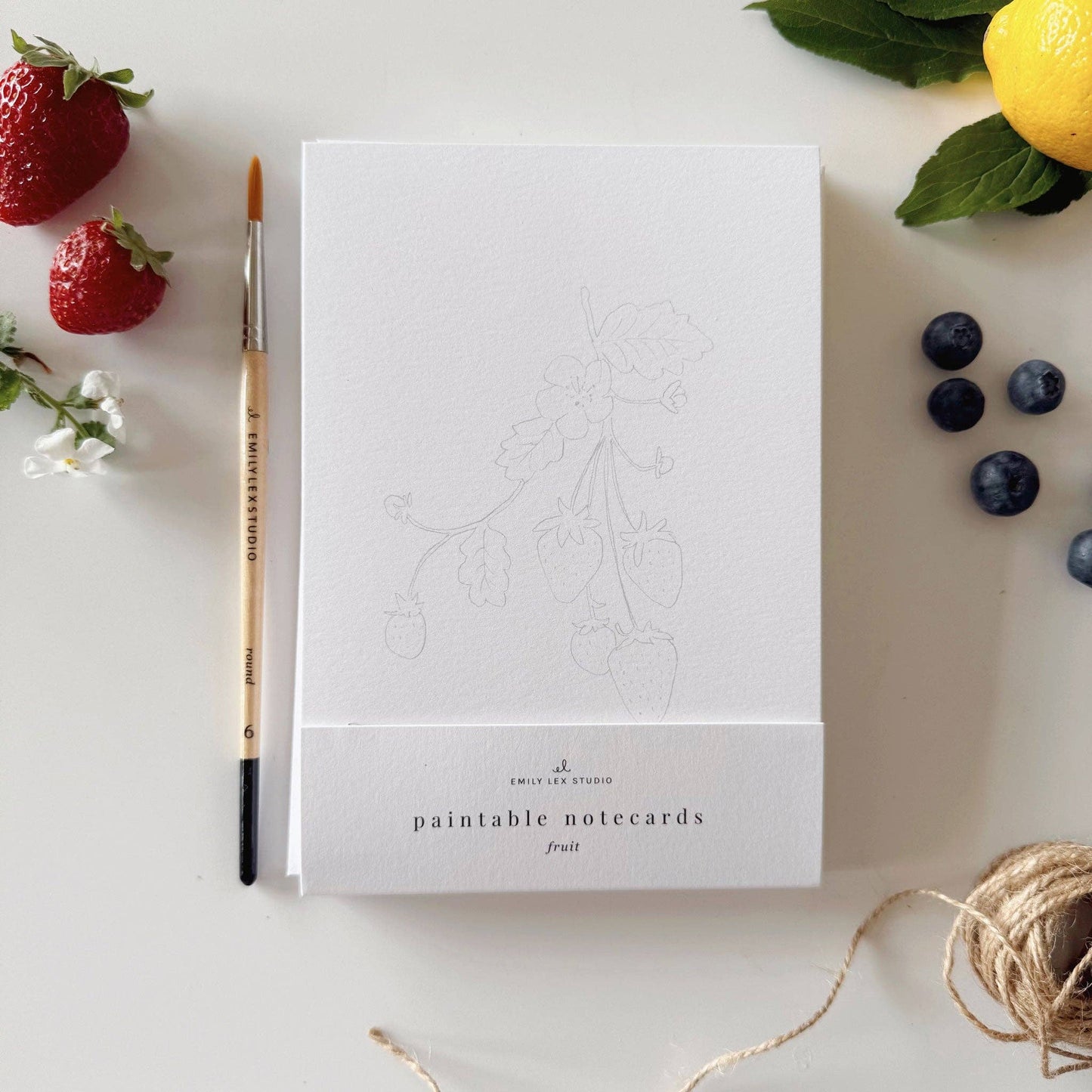Fruit Paintable Notecards - emily lex studio