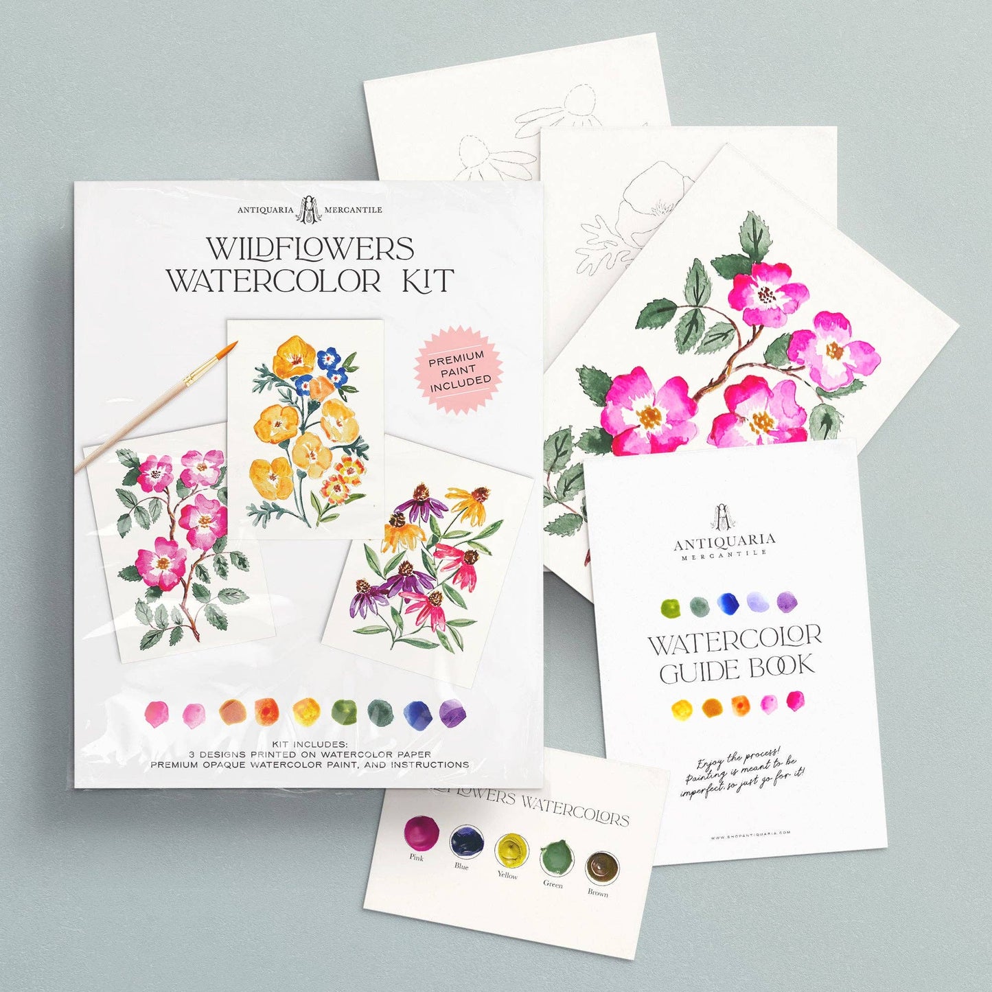 Antiquaria Watercolor Painting Kit : Wildflowers No1
