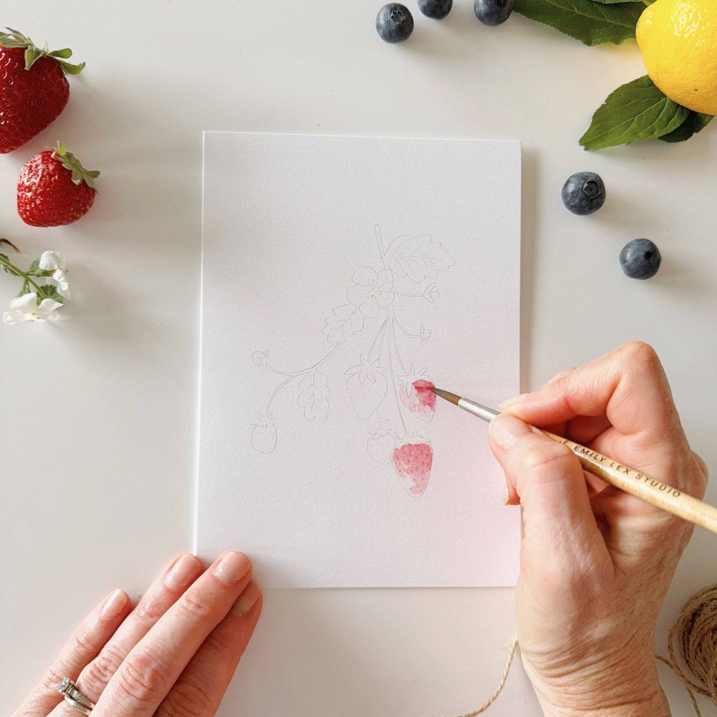 Fruit Paintable Notecards - emily lex studio