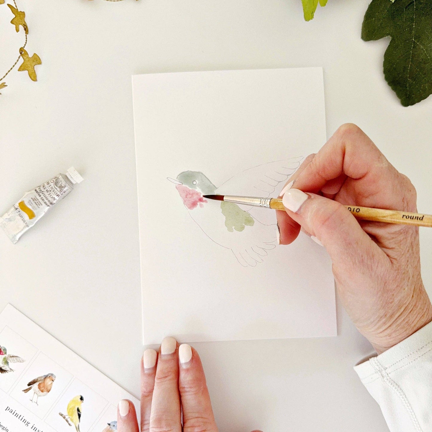 Backyard Birds Paintable Notecards - emily lex studio