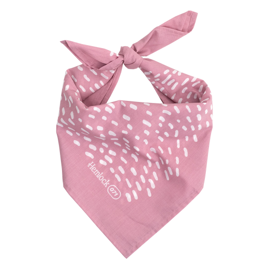 No. 071 Alexa Bandana